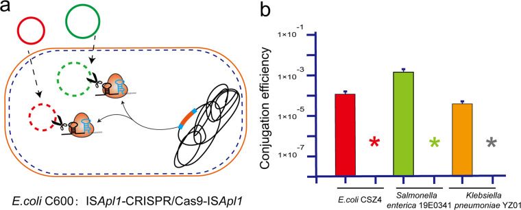 FIG 4