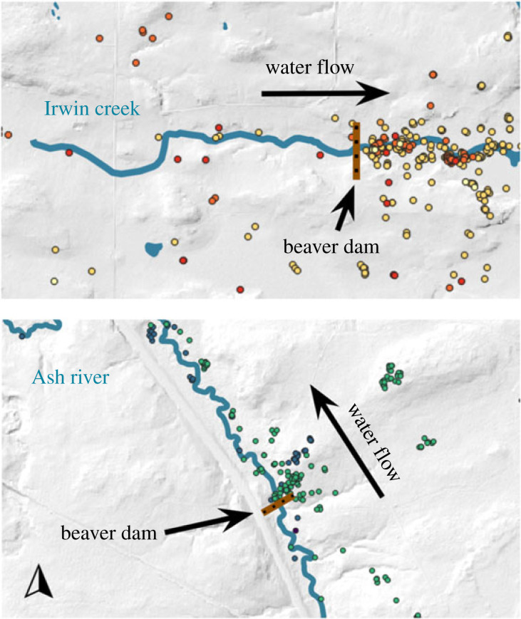 Figure 3. 