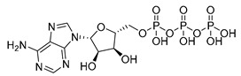 graphic file with name microorganisms-08-01310-i005.jpg