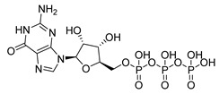 graphic file with name microorganisms-08-01310-i004.jpg