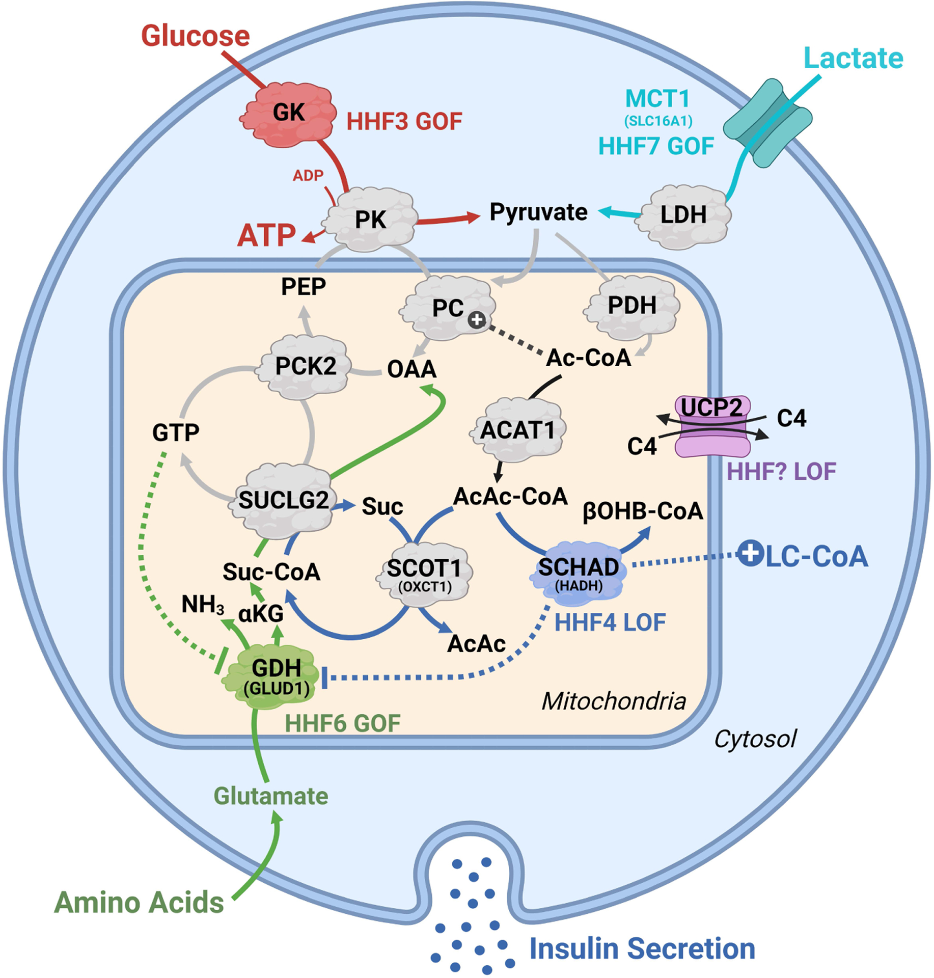 Figure 6.