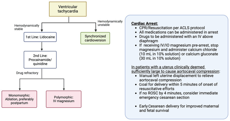 Management of ventricular tachycardia/fibrillation and SCA in pregnancy