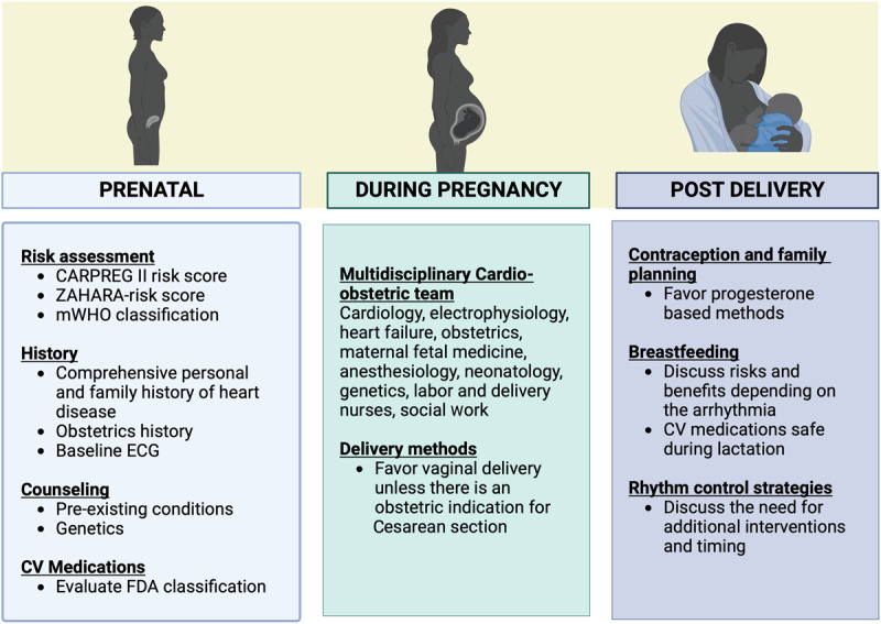 Management of pregnant patients with paroxysmal supraventricular tachycardia and AF