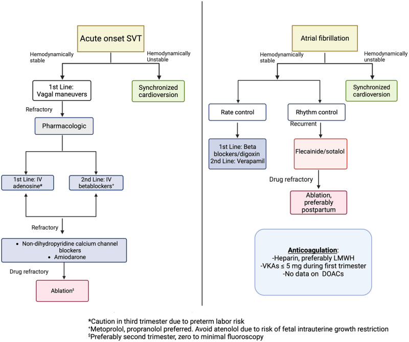 Management of supraventricular tachycardias and AF in pregnancy