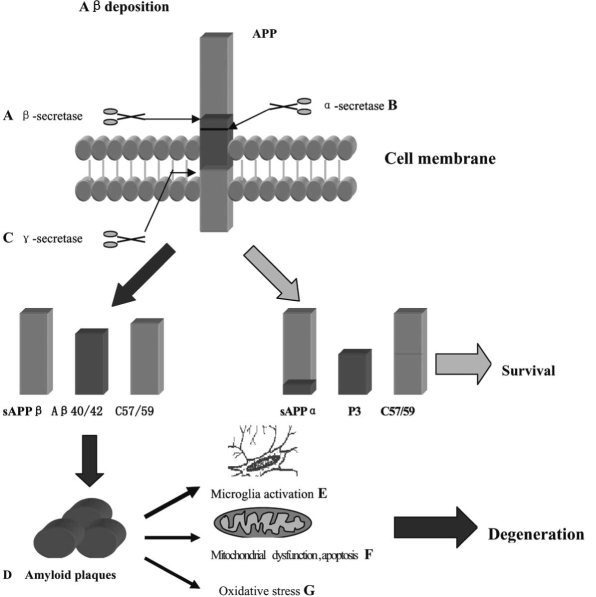 Fig. (1)