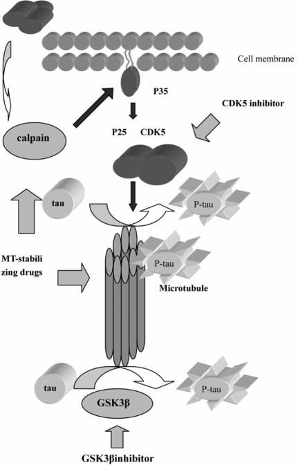 Fig. (2)