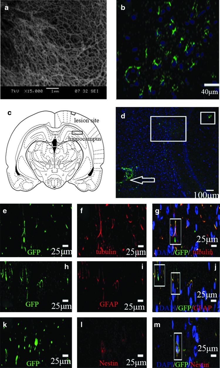 FIG. 7.