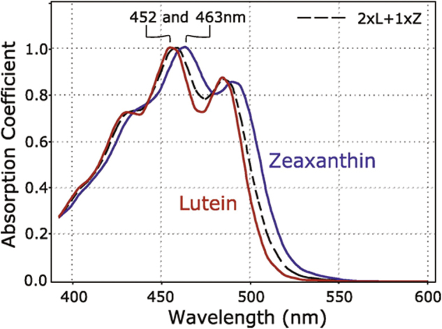 Fig. 3