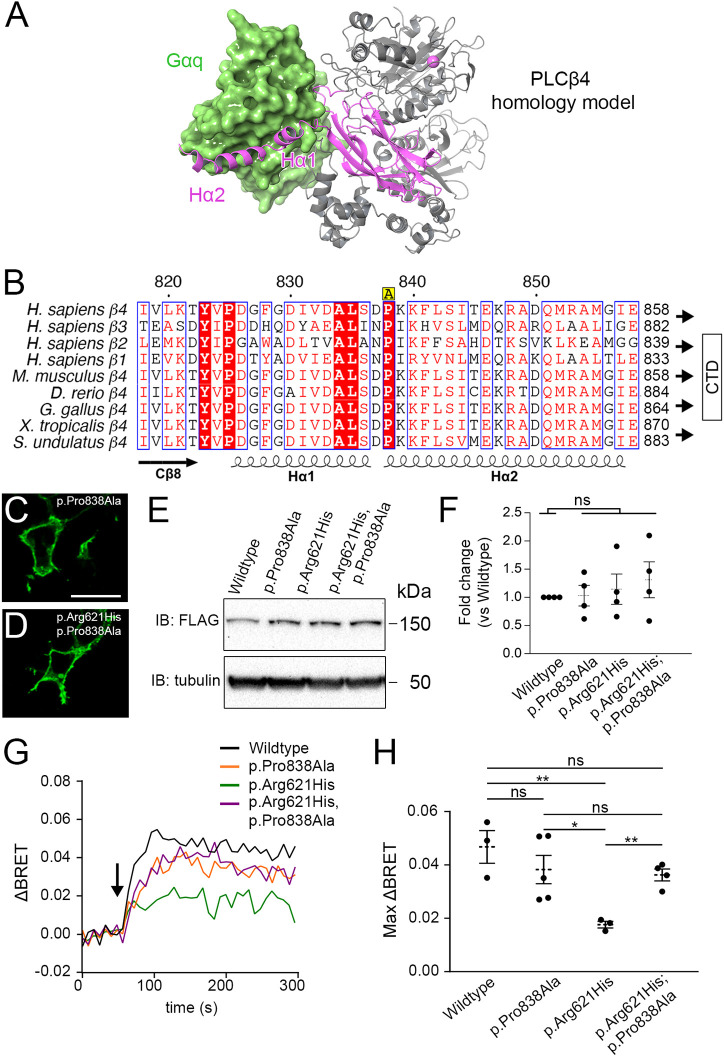 Fig. 4.