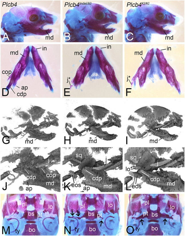 Fig. 6.