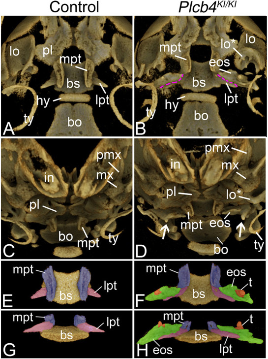 Fig. 7.