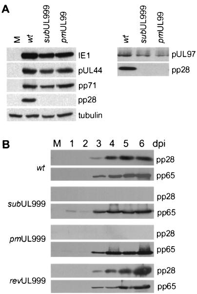 FIG. 5.