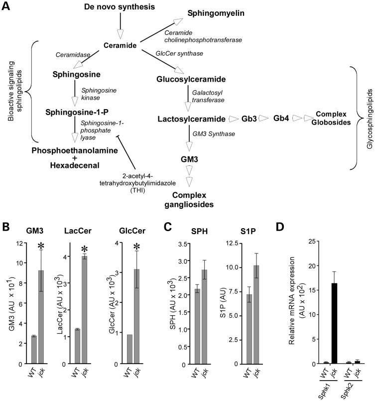 Figure 1.