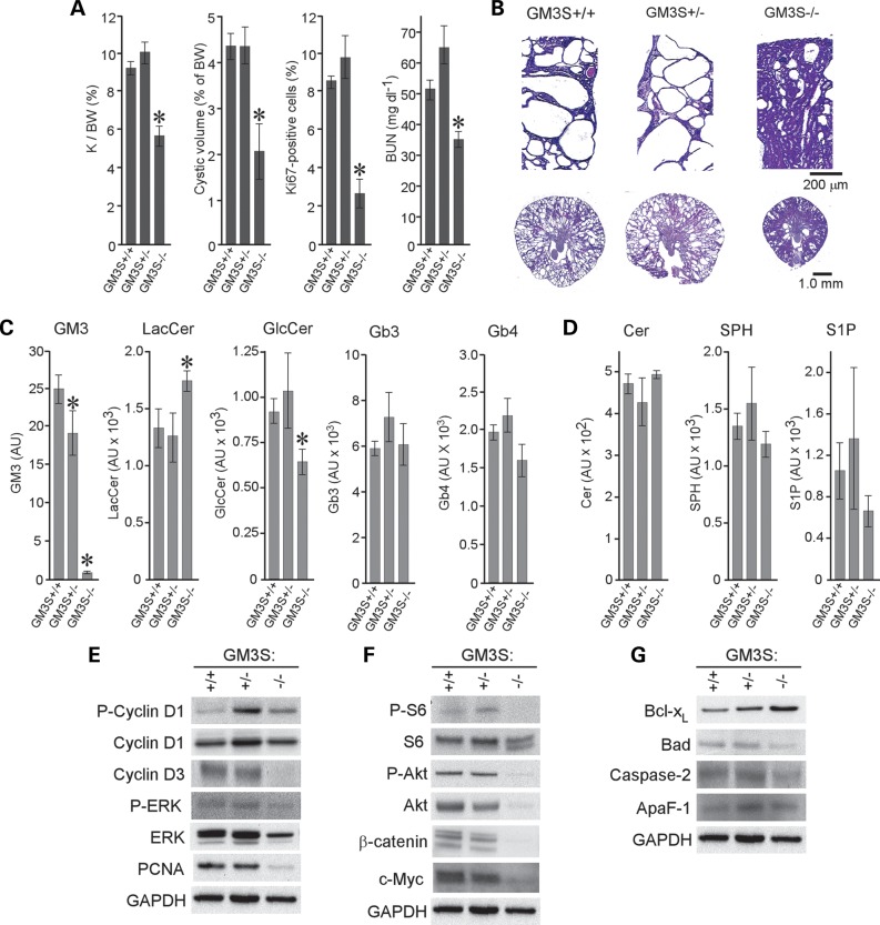 Figure 2.