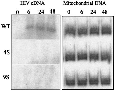 FIG. 8.