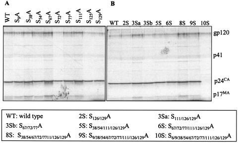 FIG. 3.