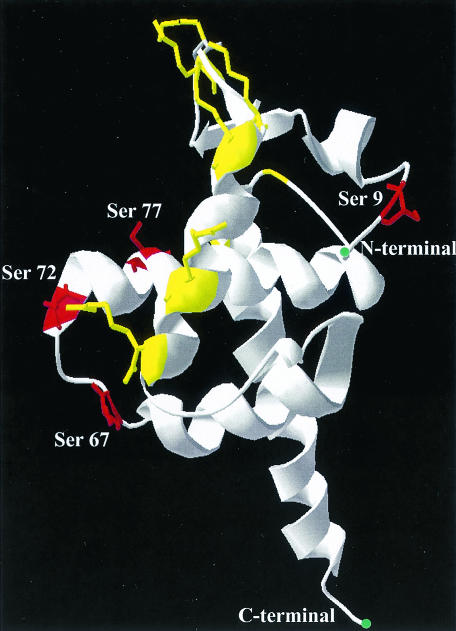 FIG. 10.