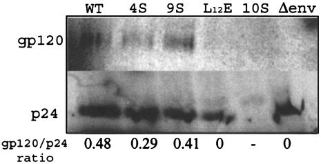 FIG. 6.