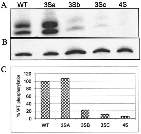 FIG. 9.