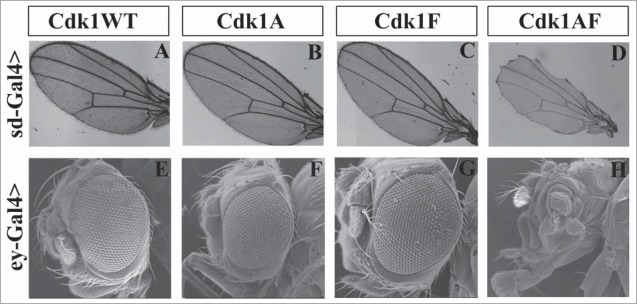 Figure 2.