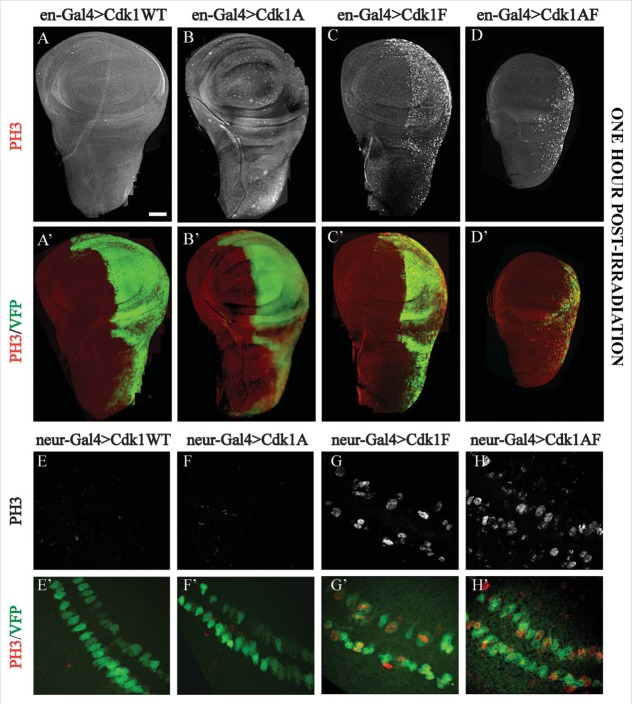 Figure 3.