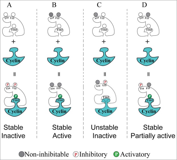 Figure 5.