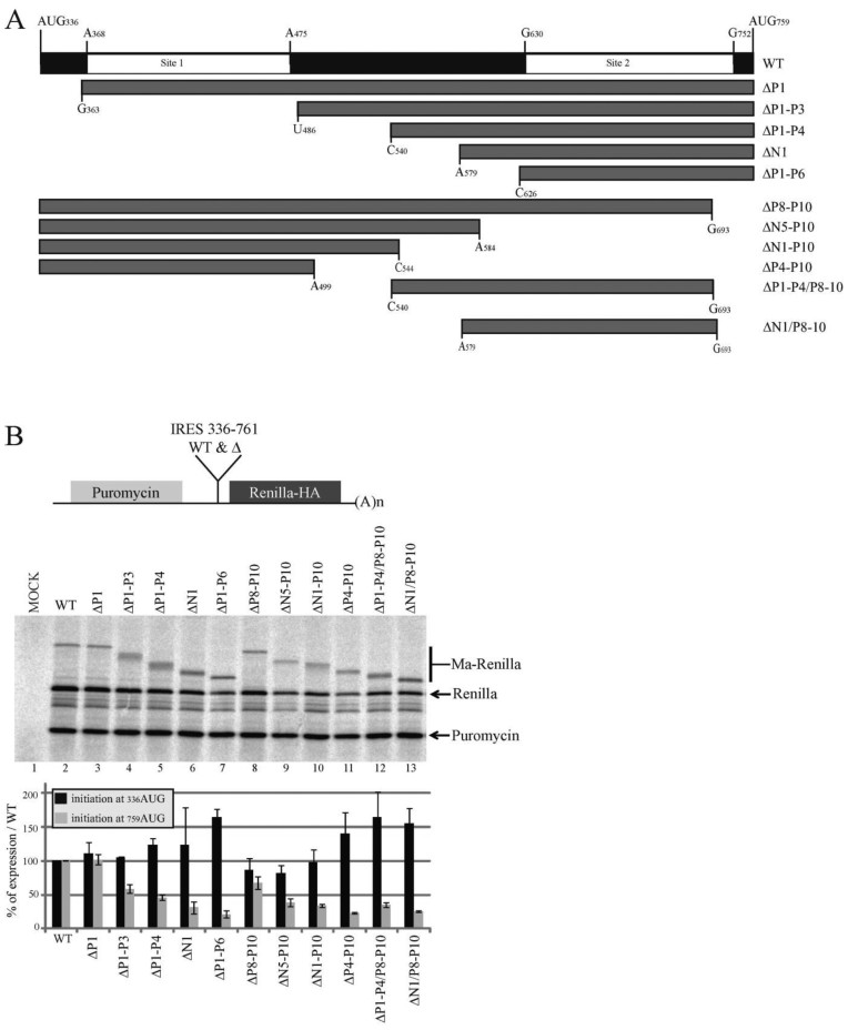 Figure 4.