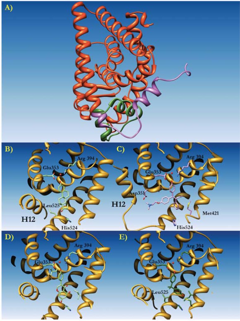 Fig. (4)