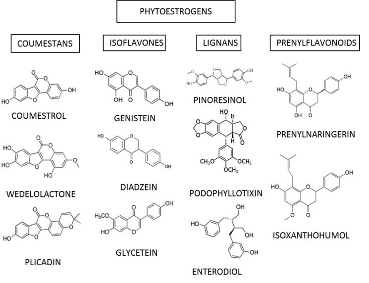 Fig. (1)