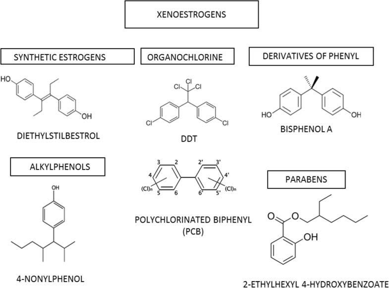 Fig. (3)