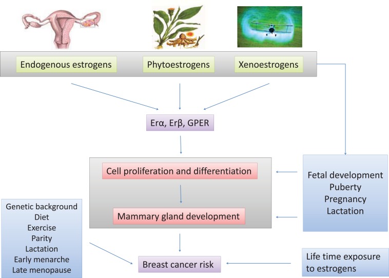 Fig. (2)