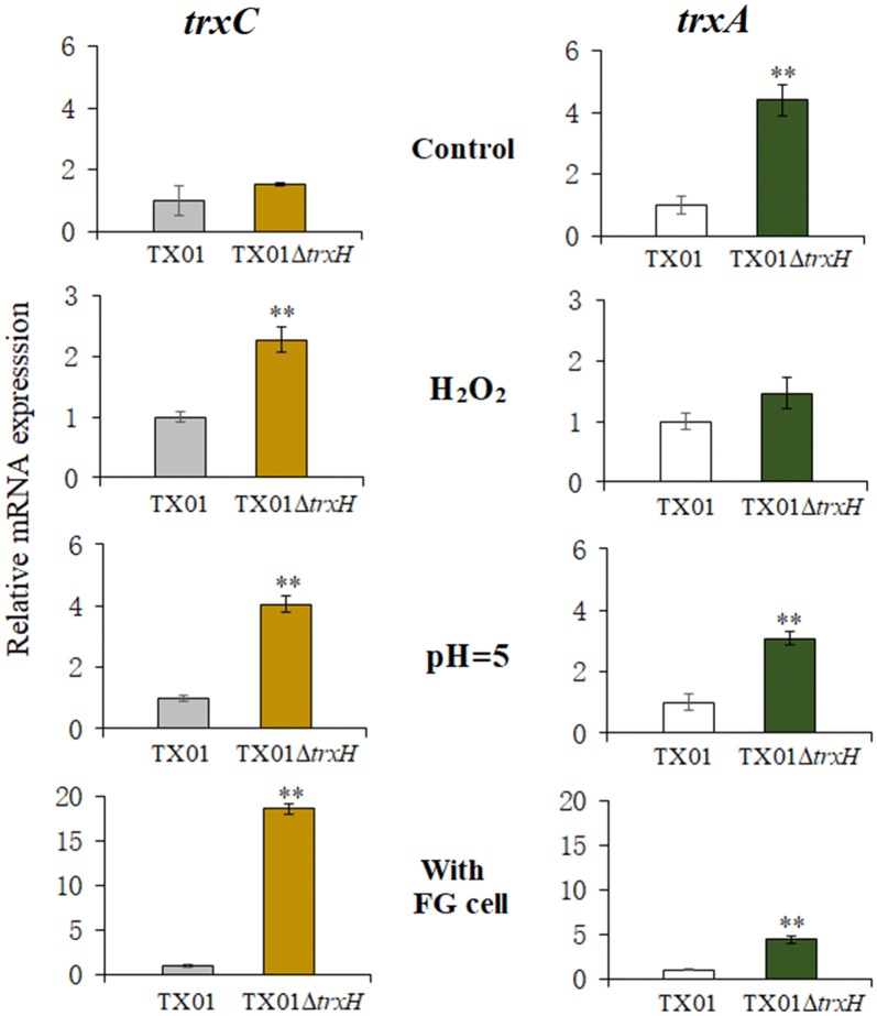 Figure 7