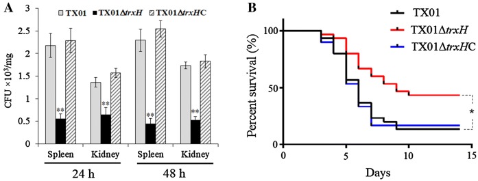 Figure 5