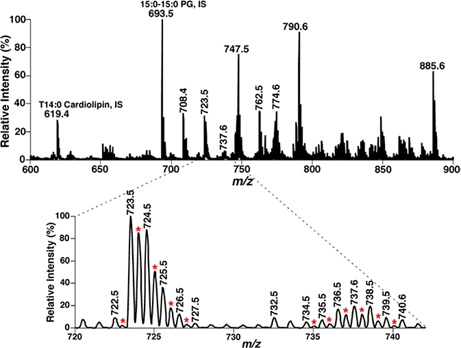 Fig. 4.