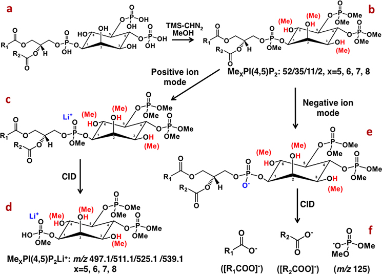 Fig. 6.