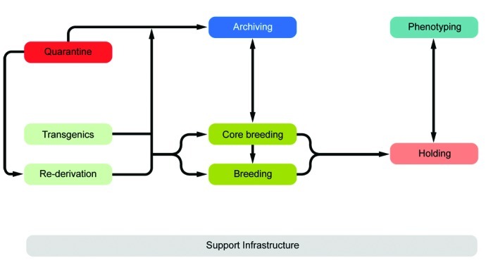 Figure 21.