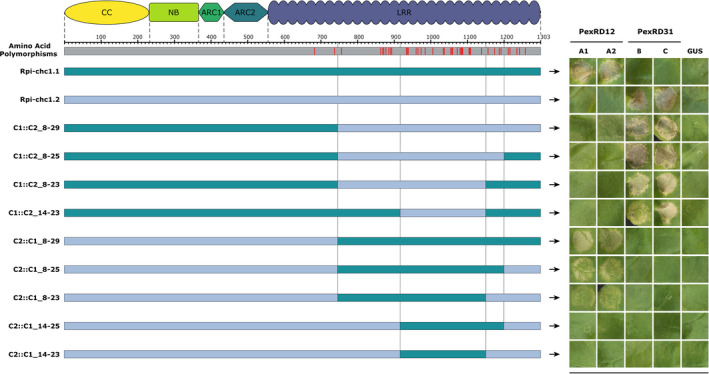 Figure 7