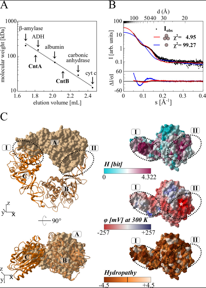 Figure 5.