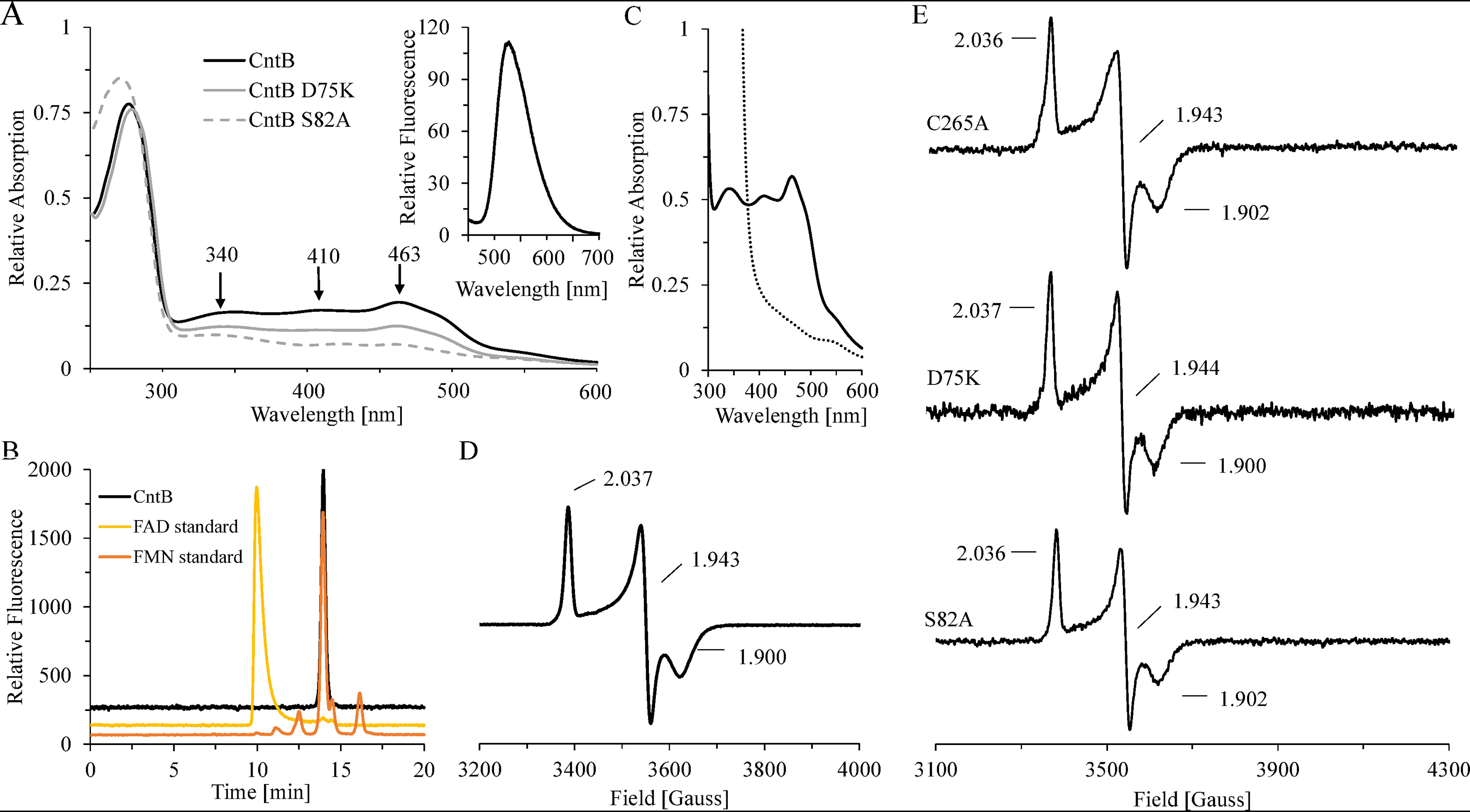 Figure 4.