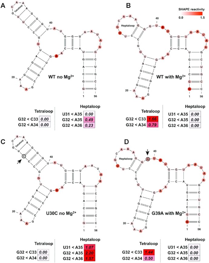 Figure 6.