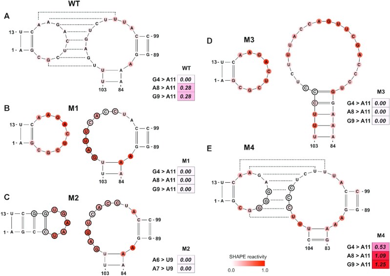 Figure 5.