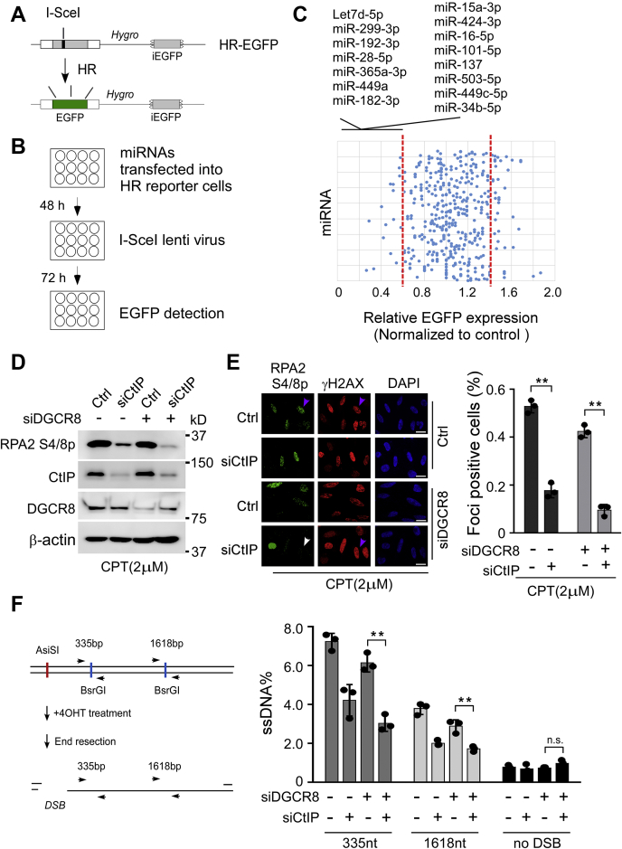 Figure 6