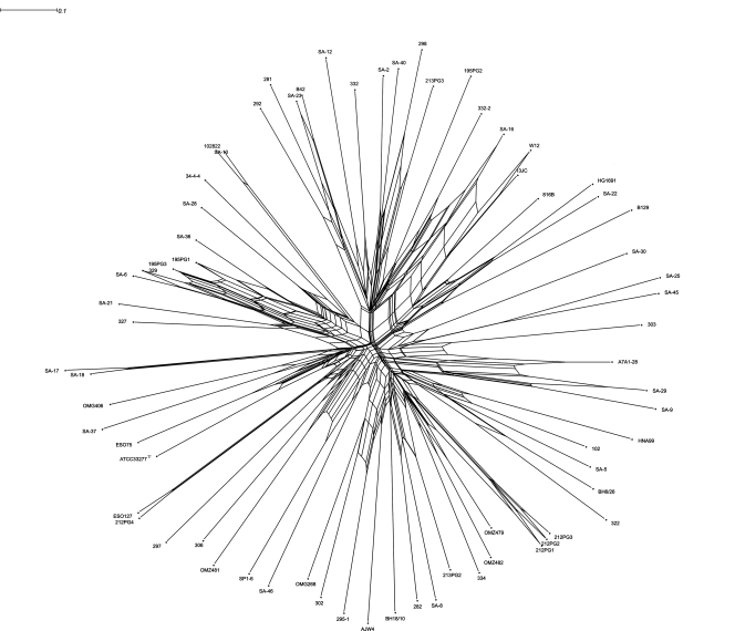 FIG. 4.