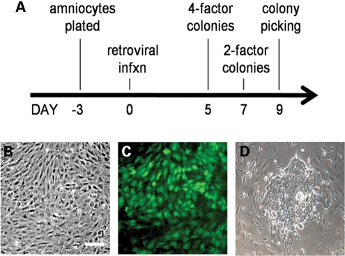 Figure 1.