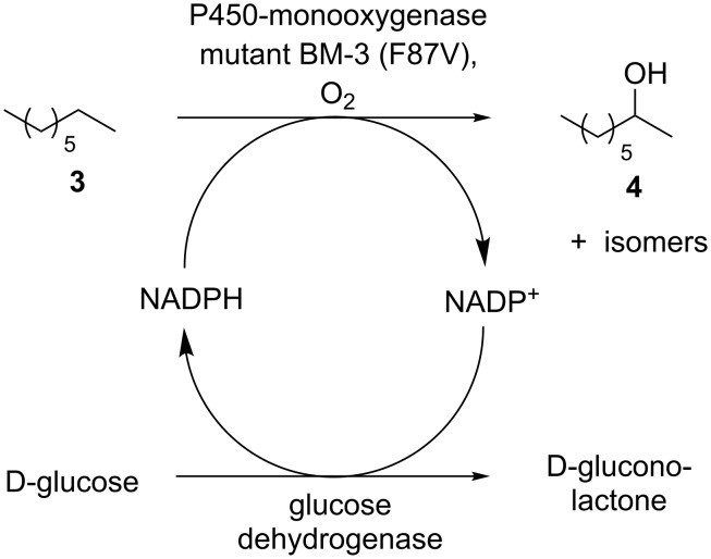 Scheme 2