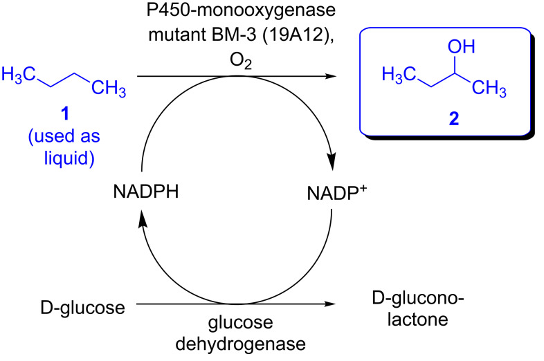 Scheme 3