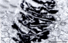 Figure 28