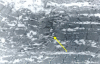 Figure 21
