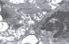 Figure 34