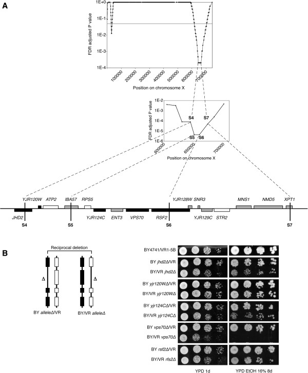 Figure 7